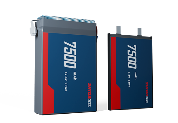 Motorcycle starter battery